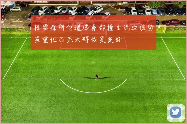 格雷森阿伦遭遇鼻部撞击流血伤势虽重但已无大碍恢复良好