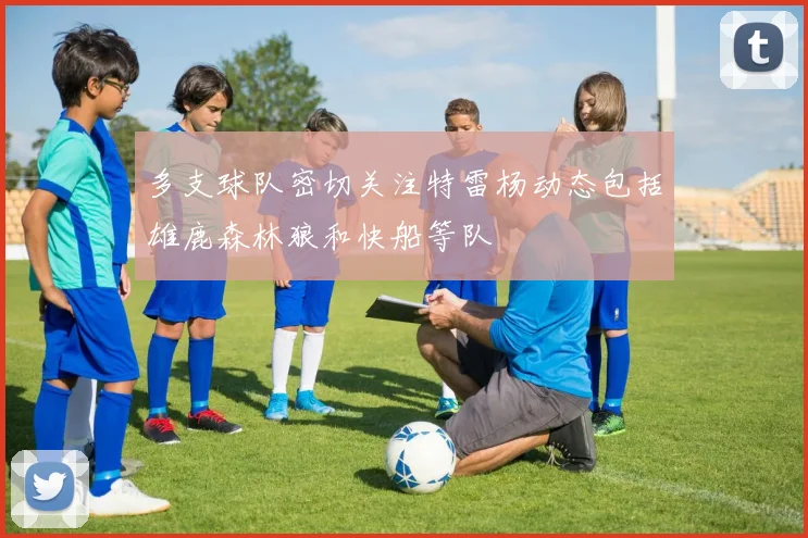 多支球队密切关注特雷杨动态包括雄鹿森林狼和快船等队