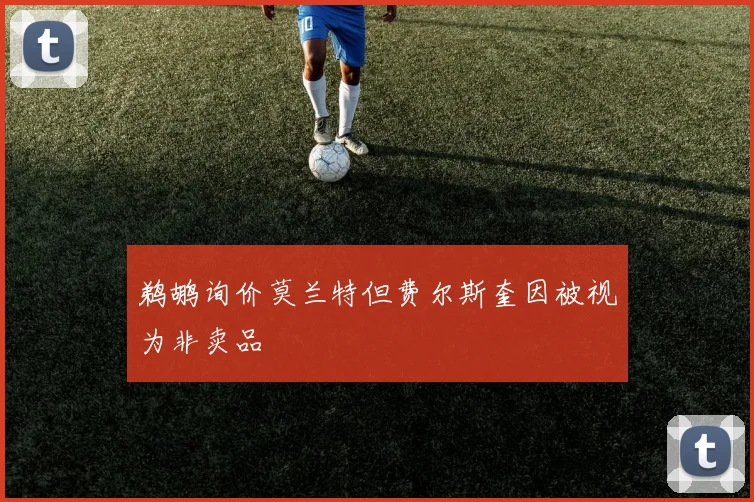 鹈鹕询价莫兰特但费尔斯奎因被视为非卖品